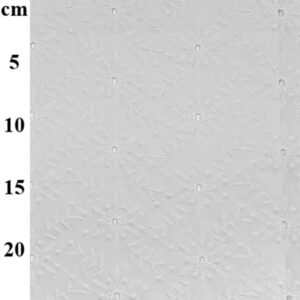 Scallop-Edged Embroidered Cotton Voile