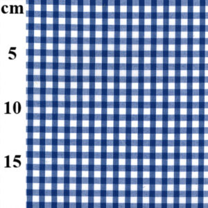 Gingham - 1/4” Checks ES002PCG